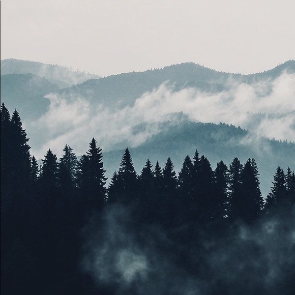 birch_boy
